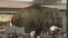 Elefante es sorprendido 'robando' en tienda de Tailandia