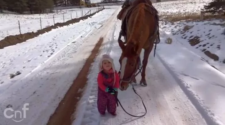 El enternecedor paseo de una niña con su caballo se vuelve viral