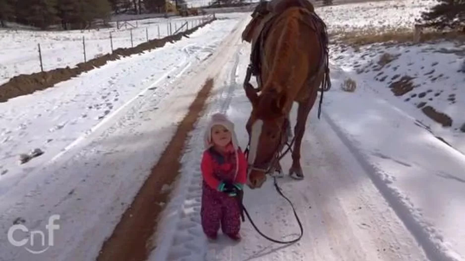 El enternecedor paseo de una niña con su caballo se vuelve viral