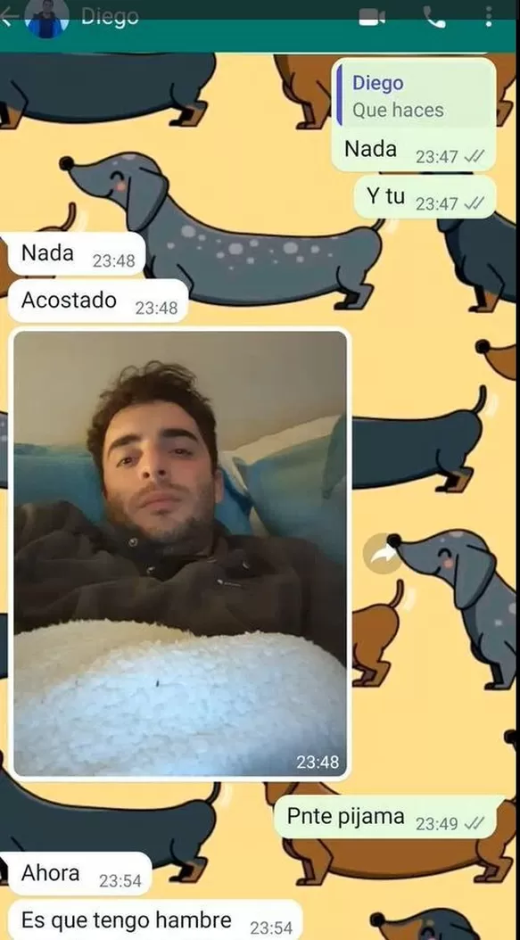 Conversación con su novio antes de recibir el mensaje / TikTok 