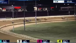 Caballo lidera carrera, pero justo antes del final tiene una insólita reacción. Foto: Captura