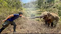 Facebook: El emotivo reencuentro de un elefante con el veterinario que le salvó la vida hace 12 años. Foto: Facebook @prhotnews02