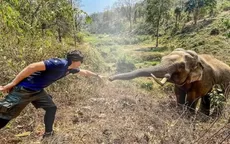 Facebook: El emotivo reencuentro de un elefante con el veterinario que le salvó la vida hace 12 años - Noticias de carlos-gallardo