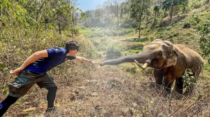 Facebook: El emotivo reencuentro de un elefante con el veterinario que le salvó la vida hace 12 años. Foto: Facebook @prhotnews02 Facebook: El emotivo reencuentro de un elefante con el veterinario que le salvó la vida hace 12 años. Foto: Facebook @prhotnews02