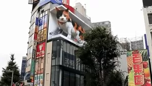 Facebook: Panel publicitario de un gato en 3D deja asombrados a transeúntes en Tokio. Foto: Captura / Video: Canal N