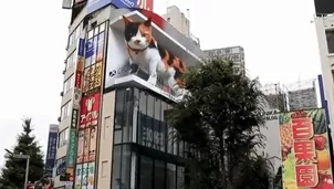 Facebook: Panel publicitario de un gato en 3D deja asombrados a transeúntes en Tokio. Foto: Captura / Video: Canal N