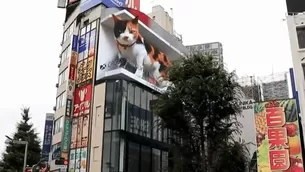 Facebook: Panel publicitario de un gato en 3D deja asombrados a transeúntes en Tokio. Foto: Captura / Video: Canal N