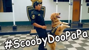 Policía canina del Perú también baila Scooby Doo Pa Pa. Video: Facebook PNP