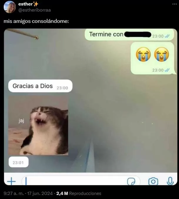 Le contó a su amigo que terminó con su novio y su respuesta se hizo viral / X