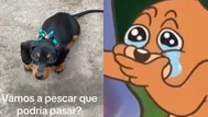 Fue a pescar con su perro y ocurrió lo peor