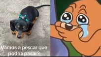 La usuaria de TikTok tuvo que llevar a su mascota de emergencia al veterinario / @_agusolguin