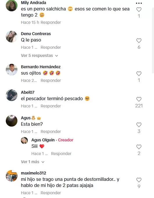 Los usuarios de TikTok le sugirieron a Agus tener más cuidado / Captura