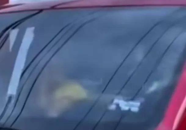 Facebook: Noticias Mexicanas