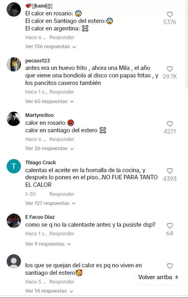 Cocinó una milanesa en el piso por ola de calor y sorprendió a todos