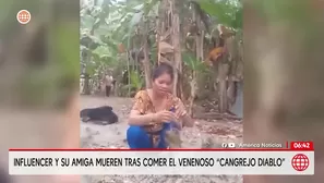 Influencer muere tras comer el venenoso Cangrejo Diablo. Foto y video: AN