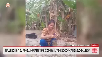 Influencer muere tras comer el venenoso Cangrejo Diablo. Foto y video: AN