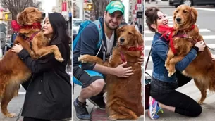 Instagram: Louboutina, la famosa perrita de dueño peruano que regala abrazos en Nueva York. Foto: Infobae/Video: Canal N