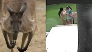 Un canguro irrumpió repentinamente una sesión de fotos de modelos en bikini y causó panico entre las jóvenes. Foto: captura