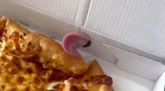 Pidieron una pizza y encontraron algo en movimiento dentro de la caja / Instagram