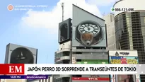 Panel publicitario en Japón. América Noticias