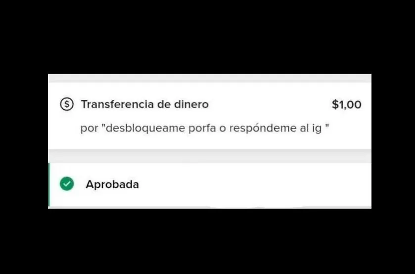 La joven hizo todo lo posible para poder hablar con su ex / TikTok