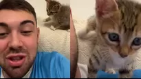 Joven le dio like sin querer a una chica en Instagram por culpa de su gatito / TikTok @charly.menegatti