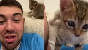 Joven le dio like sin querer a una chica en Instagram por culpa de su gatito / TikTok @charly.menegatti