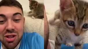 Joven le dio like sin querer a una chica en Instagram por culpa de su gatito / TikTok @charly.menegatti