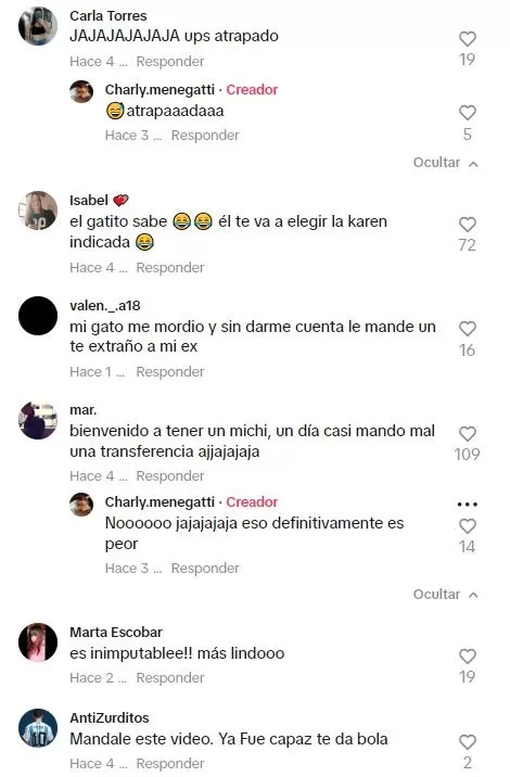 El gatito se robó el corazón de muchos usuarios / TikTok