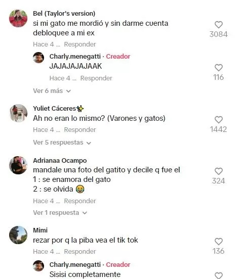 Los usuarios rieron por la travesura del gatito / TikTok