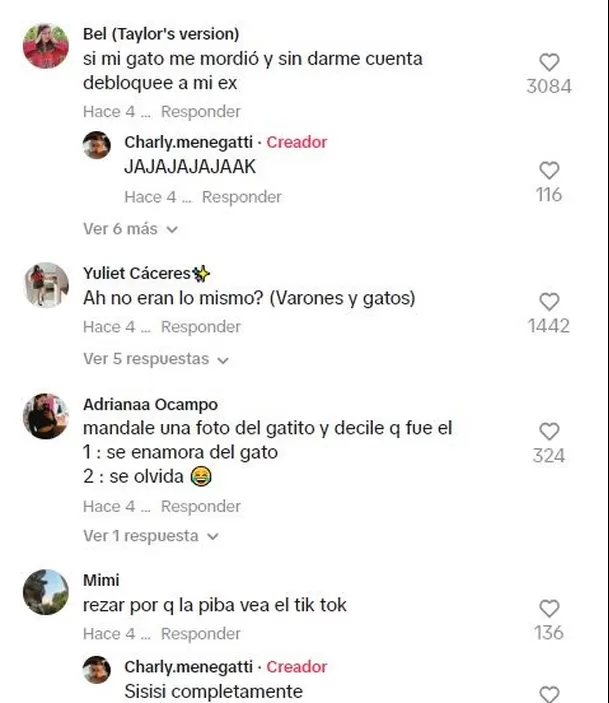 Los usuarios rieron por la travesura del gatito / TikTok