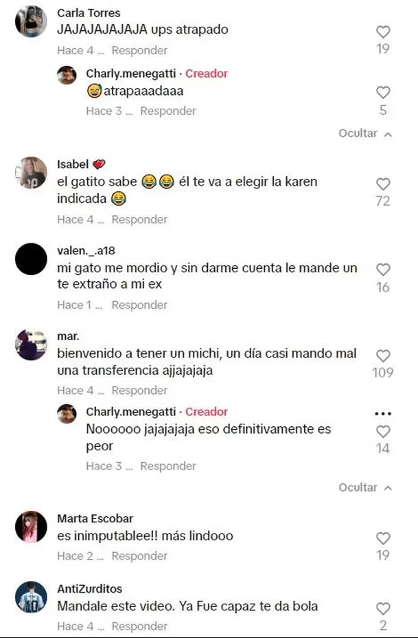 El gatito se robó el corazón de muchos usuarios / TikTok