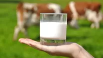 La leche es rica en calcio, pero no es la única fuente de este mineral. Imagen: biotrendies.com