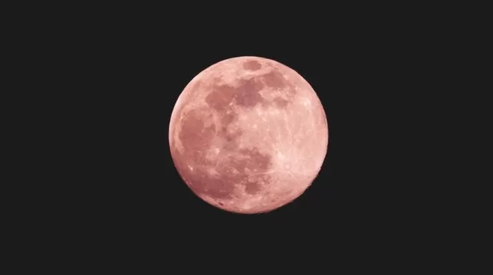 Foto: UNSPLASH Foto: UNSPLASH