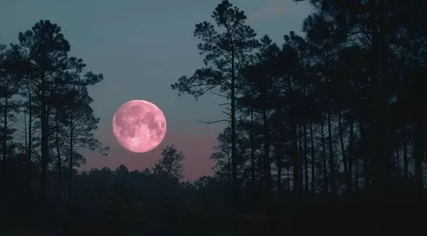 Luna Rosa se da solo en abril | Imagen: Difusión