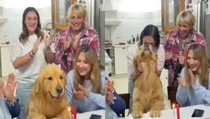 La familia del can le cantó ‘Happy Birthday’ y la reacción del animal se hizo viral / @AlexaGomezDos