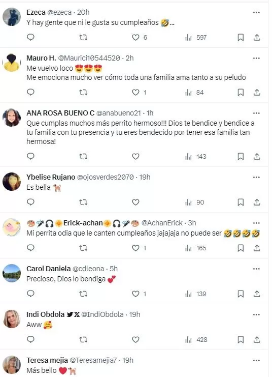 Los usuarios de X quedaron cautivados con la reacción del animal 