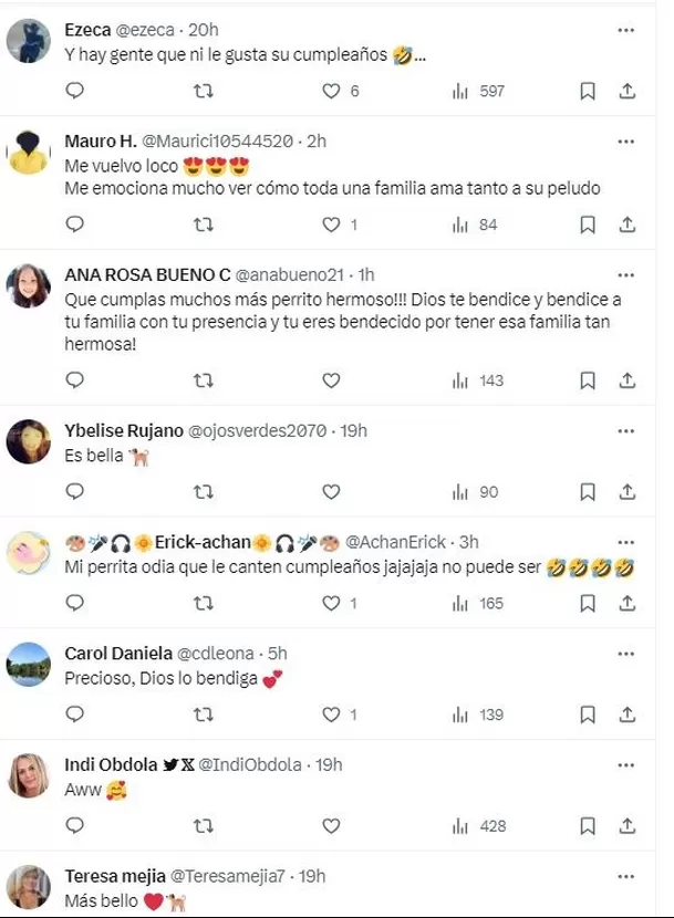 Los usuarios de X quedaron cautivados con la reacción del animal 