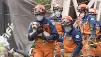 Perro fue rescatado tras días bajo escombros en México. Video: AFP