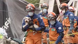 Perro fue rescatado tras días bajo escombros en México. Video: AFP