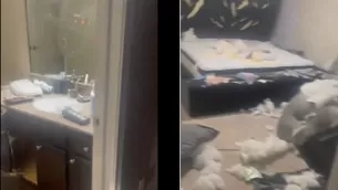 Mujer destrozó casa de su novio por no regalarle nada en San Valentín. Fotos y video: X