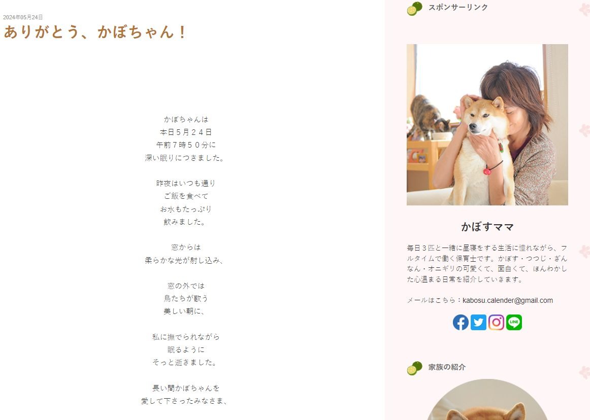 Atsuko Sato emitió un conmovedor mensaje de despedida para su mascota / Blog