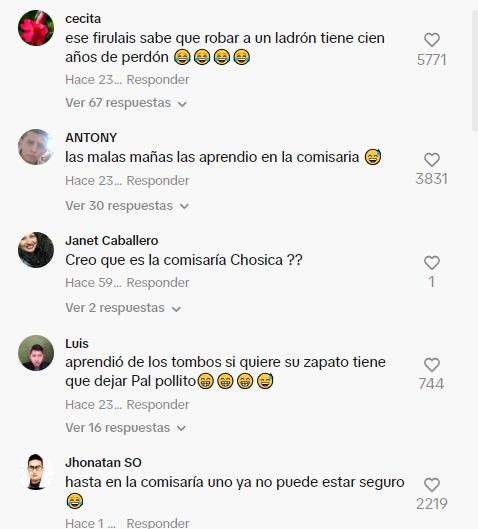 Las reacciones por el "robo" del perrito a un policía en la comisaría / TikTok