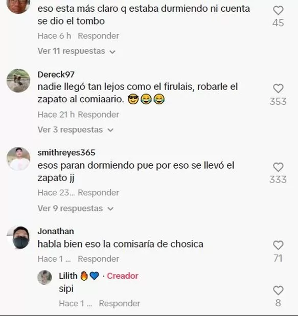 Los usuarios se rieron de la actitud del perro / TikTok 