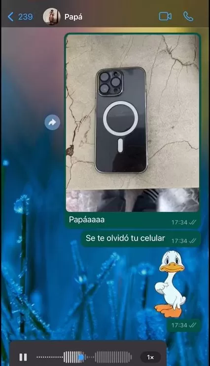 Le hizo broma a su papá para exponerlo como distraído / TikTok: @leal_stephany