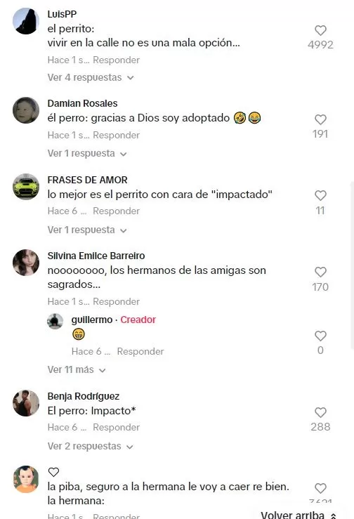 La reacción del perrito fue lo más comentado / TikTok