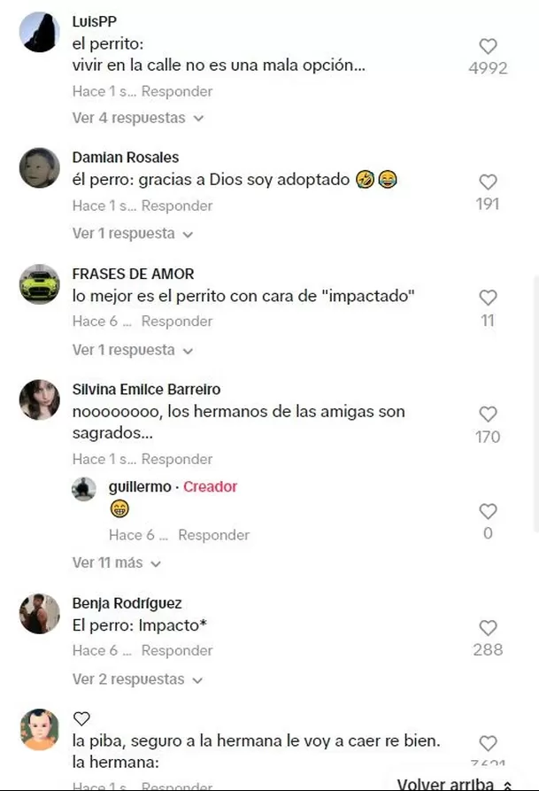 La reacción del perrito fue lo más comentado / TikTok