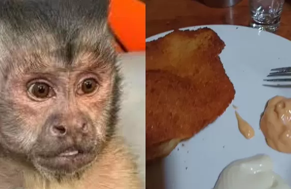  Joven pidió una milanesa, pero la comida no fue la esperada /TikTok: @miguelchapay