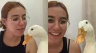 ¿Un pato que sonríe? Video conmovió a todos