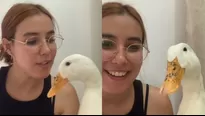 Patito que sonríe es furor en TikTok / @emmeleal